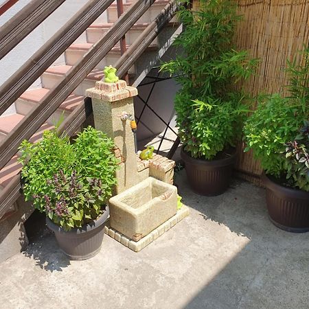Apartman Djokic 3 Požarevac Exteriör bild