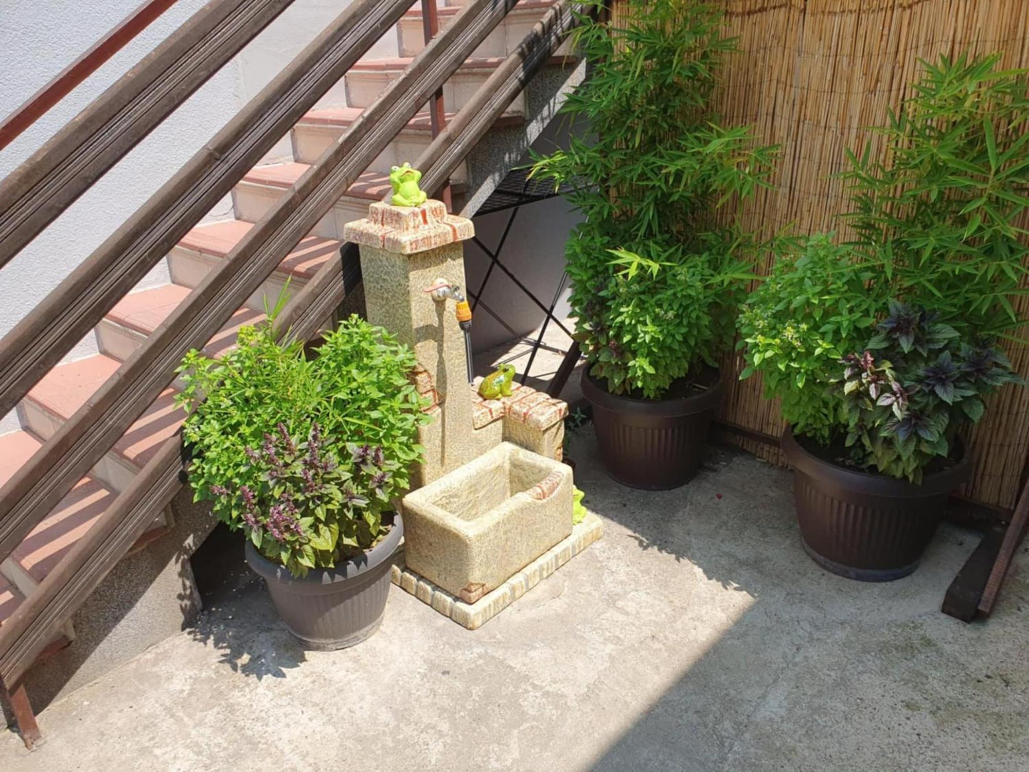 Apartman Djokic 3 Požarevac Exteriör bild